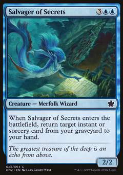 Salvager of Secrets